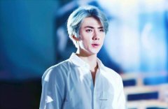 2019EXO成員人氣排名，exo誰最帥？