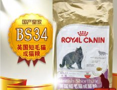 貓糧什么牌子好又便宜？十大貓糧品牌排行榜