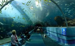 世界上最大的水族館排名，中國(guó)有兩處上榜