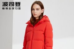 羽絨服品牌排行榜前十名：鴨鴨上榜，波司登獨占鰲頭