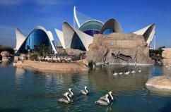 全球六個最大的水族館，真是夢幻的“水世界”