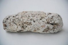 世界上最貴的動(dòng)物糞便：一斤就要上百萬，比黃金還貴！
