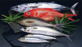 對(duì)心臟最好的十大食物：魚(yú)類、豆類、燕麥全上榜