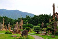 深圳十大城市公園：園博園入榜，仙湖植物園居榜首