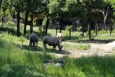 世界十大最佳動物園，世界最著名的動物園