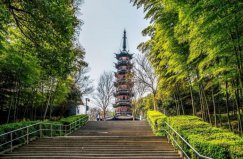 上海著名的六大森林公園，佘山國家森林公園排第一